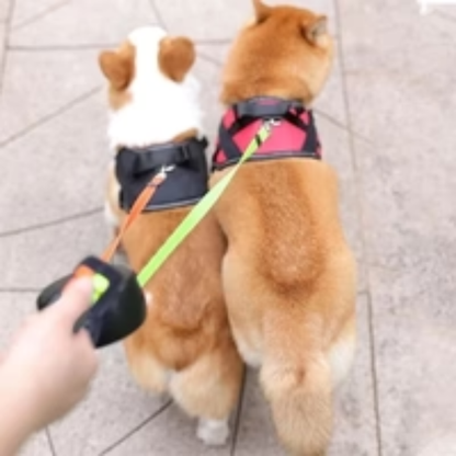 Correa retráctil doble 3 en 1 para tu mascota - ENVÍO GRATIS